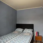 Evenes - Cheap For 4 Guests Close To The Airport Apartman Evenesmarkja