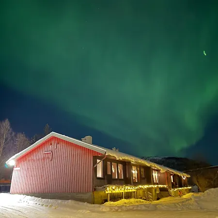 Evenes - Cheap For 4 Guests Close To The Airport * Evenesmarkja