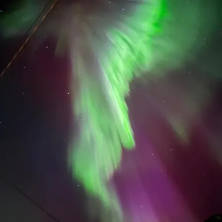 Evenes - Cheap For 4 Guests Close To The Airport * Evenesmarkja